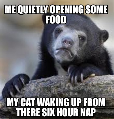 me-quietly-opening-some-food-my-cat-waking-up-from-there-six-hour-nap