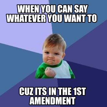 when-you-can-say-whatever-you-want-to-cuz-its-in-the-1st-amendment