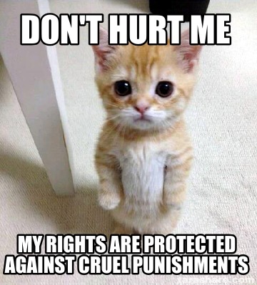 dont-hurt-me-my-rights-are-protected-against-cruel-punishments