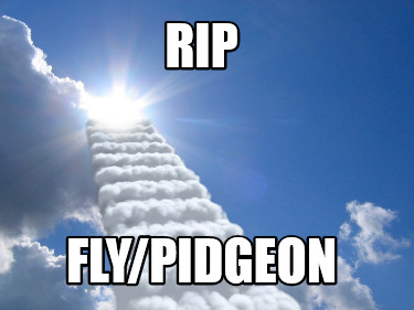 rip-flypidgeon