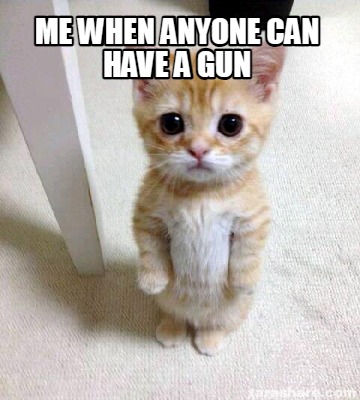 me-when-anyone-can-have-a-gun