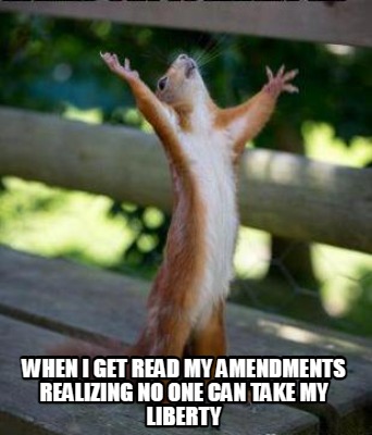 when-i-get-read-my-amendments-realizing-no-one-can-take-my-liberty