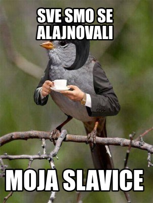 sve-smo-se-alajnovali-moja-slavice