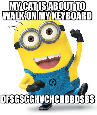 my-cat-is-about-to-walk-on-my-keyboard-dfsgsgghvchchdbdsbs