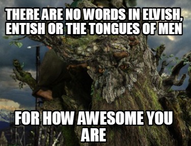 there-are-no-words-in-elvish-entish-or-the-tongues-of-men-for-how-awesome-you-ar