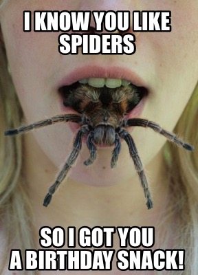 i-know-you-like-spiders-so-i-got-you-a-birthday-snack