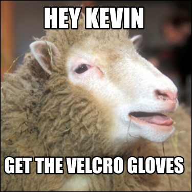 hey-kevin-get-the-velcro-gloves