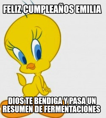 feliz-cumpleaos-emilia-dios-te-bendiga-y-pasa-un-resumen-de-fermentaciones