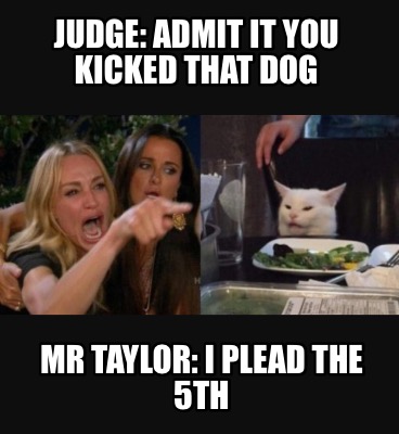 judge-admit-it-you-kicked-that-dog-mr-taylor-i-plead-the-5th