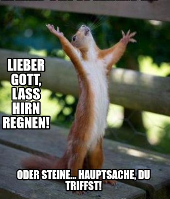 oder-steine...-hauptsache-du-triffst-lieber-gott-lass-hirn-regnen