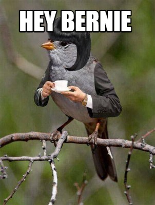 hey-bernie