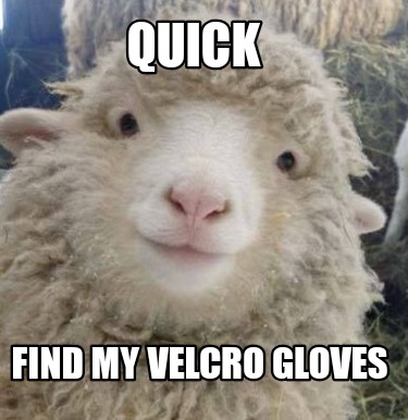 quick-find-my-velcro-gloves