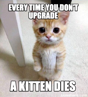 every-time-you-dont-upgrade-a-kitten-dies