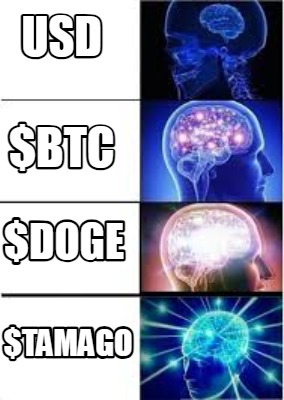 usd-doge-btc-tamago