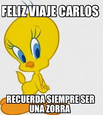 feliz-viaje-carlos-recuerda-siempre-ser-una-zorra