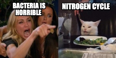 bacteria-is-horrible-nitrogen-cycle