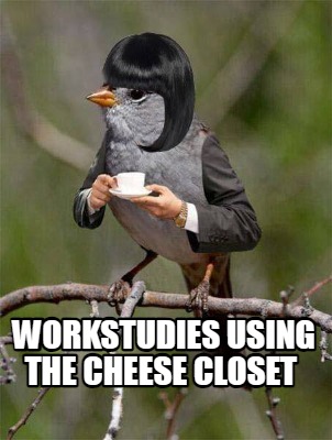 workstudies-using-the-cheese-closet