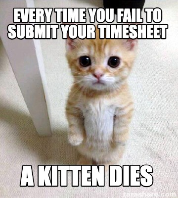 every-time-you-fail-to-submit-your-timesheet-a-kitten-dies