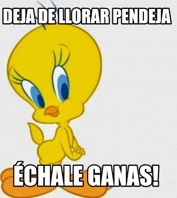 deja-de-llorar-pendeja-chale-ganas