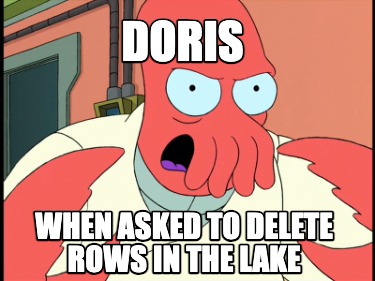 doris-when-asked-to-delete-rows-in-the-lake