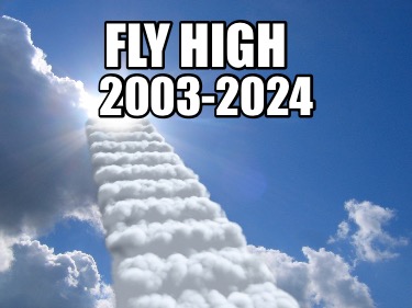 fly-high-2003-2024