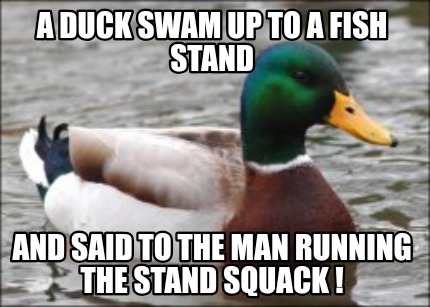 a-duck-swam-up-to-a-fish-stand-and-said-to-the-man-running-the-stand-squack-