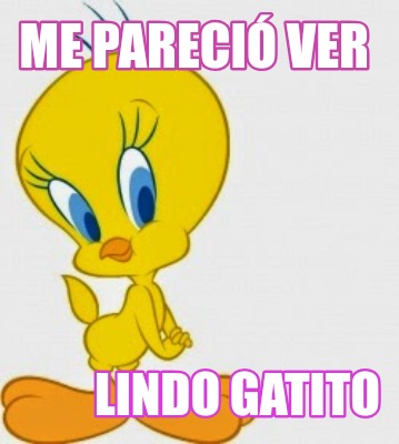 me-pareci-ver-lindo-gatito