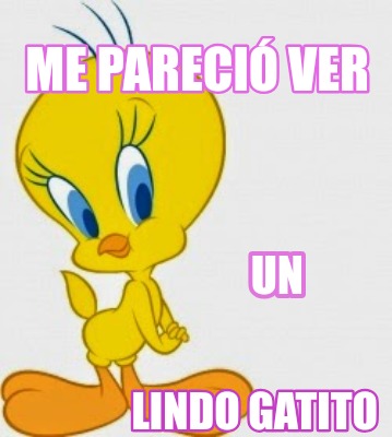 me-pareci-ver-un-lindo-gatito81