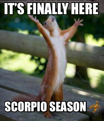 its-finally-here-scorpio-season-