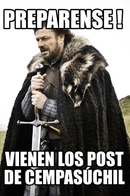 preparense-vienen-los-post-de-cempaschil