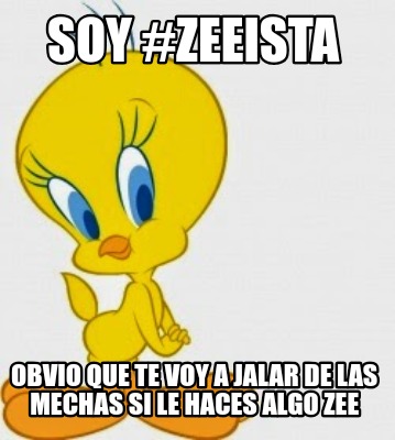 soy-zeeista-obvio-que-te-voy-a-jalar-de-las-mechas-si-le-haces-algo-zee