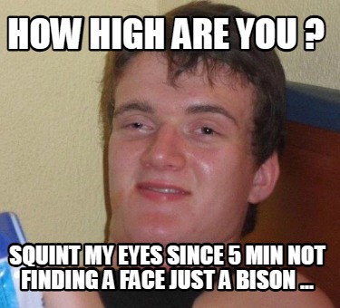 how-high-are-you-squint-my-eyes-since-5-min-not-finding-a-face-just-a-bison-