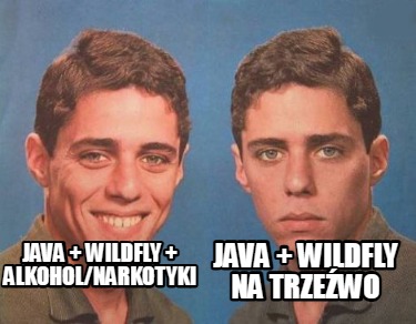 java-wildfly-alkoholnarkotyki-java-wildfly-na-trzewo