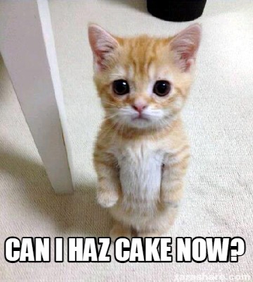 can-i-haz-cake-now