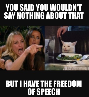 you-said-you-wouldnt-say-nothing-about-that-but-i-have-the-freedom-of-speech