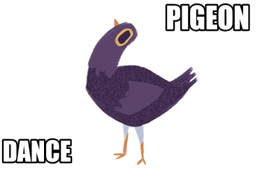 pigeon-dance