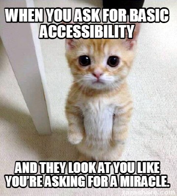 when-you-ask-for-basic-accessibility-and-they-look-at-you-like-youre-asking-for-