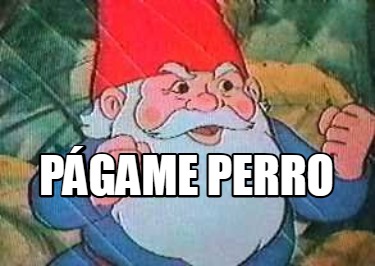 pgame-perro3