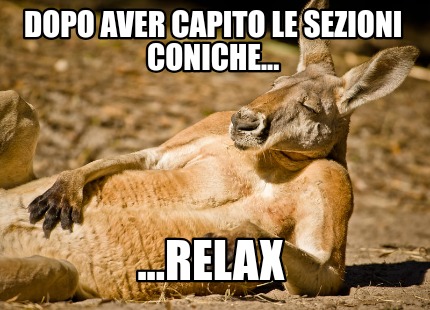 dopo-aver-capito-le-sezioni-coniche...-...relax