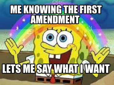 me-knowing-the-first-amendment-lets-me-say-what-i-want