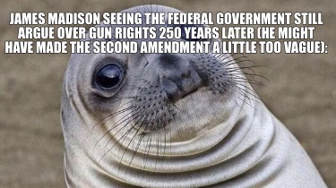 james-madison-seeing-the-federal-government-still-argue-over-gun-rights-250-year