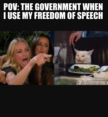 pov-the-government-when-i-use-my-freedom-of-speech