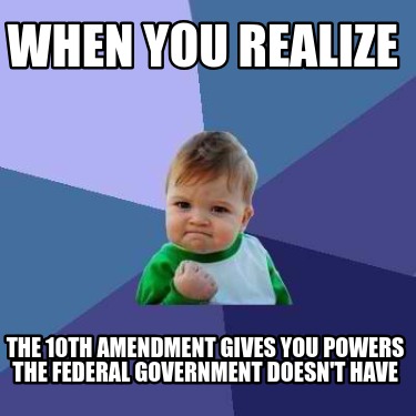 when-you-realize-the-10th-amendment-gives-you-powers-the-federal-government-does07