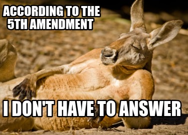 according-to-the-5th-amendment-i-dont-have-to-answer