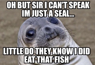 oh-but-sir-i-cant-speak-im-just-a-seal...-little-do-they-know-i-did-eat-that-fis