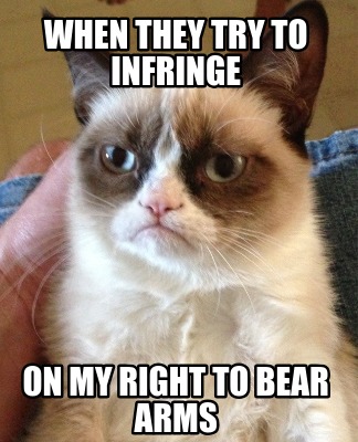 when-they-try-to-infringe-on-my-right-to-bear-arms