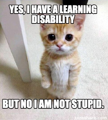 yes-i-have-a-learning-disability-but-no-i-am-not-stupid