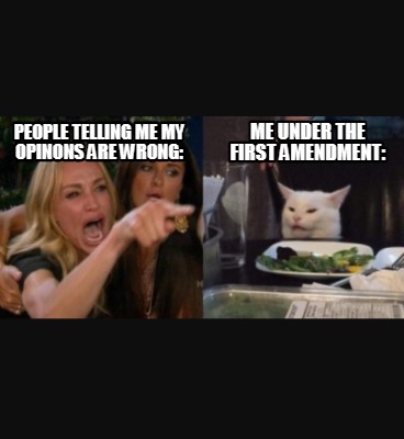 people-telling-me-my-opinons-are-wrong-me-under-the-first-amendment