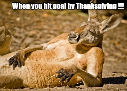 when-you-hit-goal-by-thanksgiving-