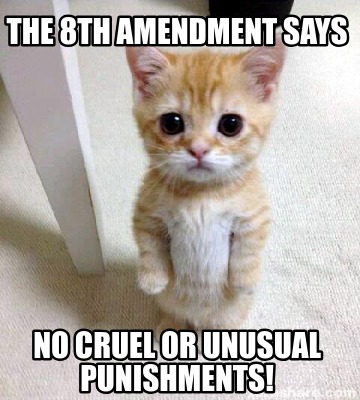 the-8th-amendment-says-no-cruel-or-unusual-punishments